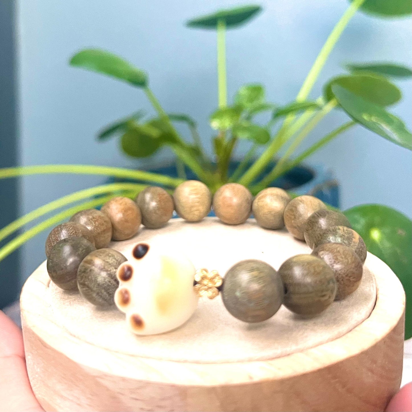 Verawood Green Wood Bodhi Bracelet,Kitten Cat Paw Bracelet,Lovely Cute Sandalwood Bracelet, Gift for Her Him, Birthday Gift, Valentines gift